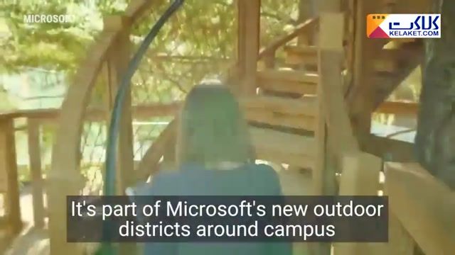 ابتکار خلاقانه شرکت مایکروسافت, محل کار کارمندان در خانه های چوبی