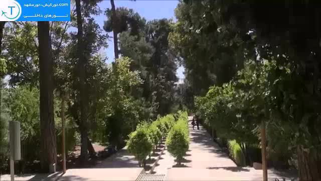 باغ ارم انعکاسی از بهشت در شیراز + تصاویر و ویدیو