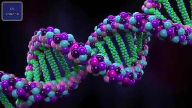 ‫اولین دستکاری ژنتیکی انسان در آمریکا‬‎