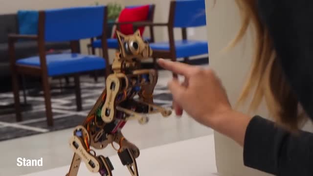  گربه‌ی رباتیک که می‌توانید خودتان آن را برنامه نویسی کنید