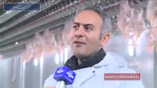 Iran Industrial Chicken Slaughterhouse, Ardabil county کشتارگاه مرغ شهرستان اردبیل ایران