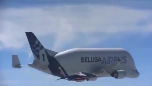 هواپیمای غول آسای ایرباس به نام بلوگا که به نهنگ سفید معروف است!!