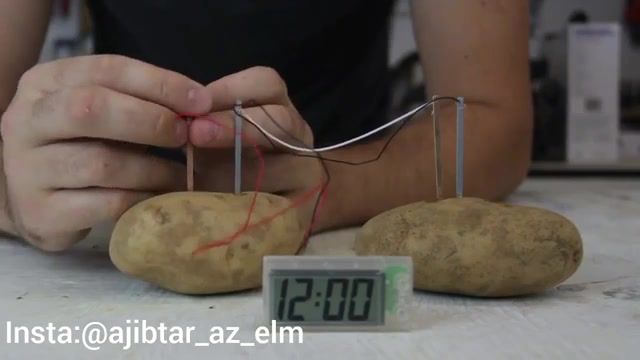 روشن کردن ساعت دیجیتال با سیب زمینی