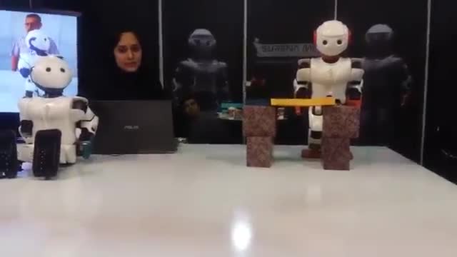 Iran University of Tehran Surena Mini, Humanoid Robot Karate Chop دانشگاه تهران ربات سورنا مینی