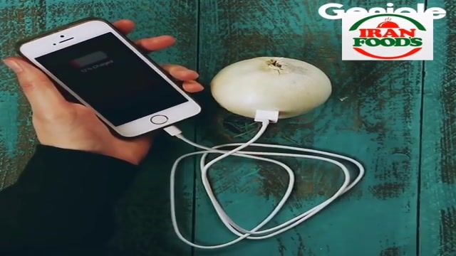 آموزش عجیب شارژ کردن موبایل با پیاز