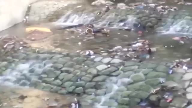 رودخانه ای پر از زباله در یکی از مرفه ترین مناطق تهران