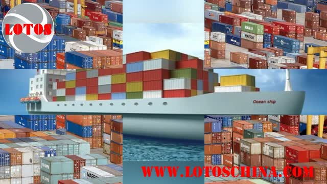 واردات کالا از چین لوتوس