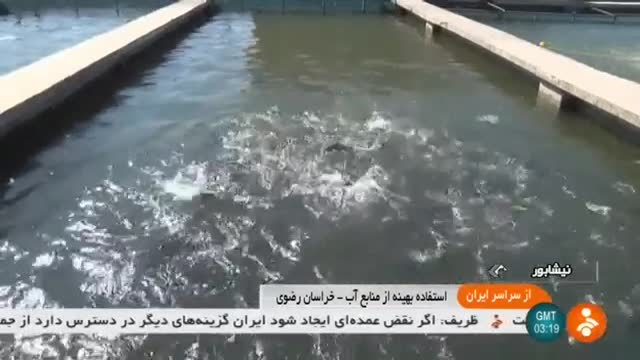 Iran Fish farming by Cement factory, Neyshapour county پرورش ماهی شهرستان نیشاپور ایران