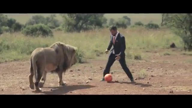 کوین ریچاردسون با شیرها فوتبال بازی میکند