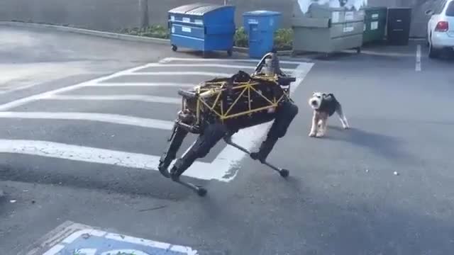 جنگ سگ و روبات!