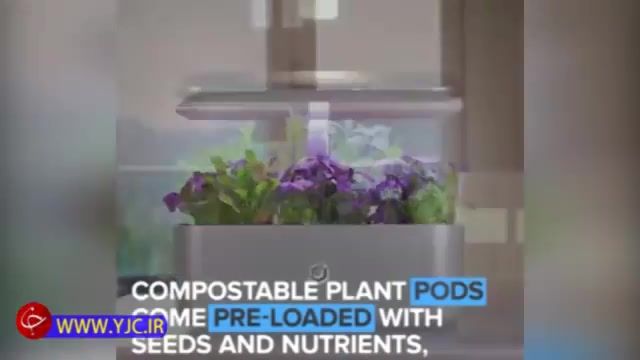 ساخت گلدان هوشمند برای آبیاری و تنظیم مواد مغذی مورد نیاز گیاه در محیط های آپارتمانی