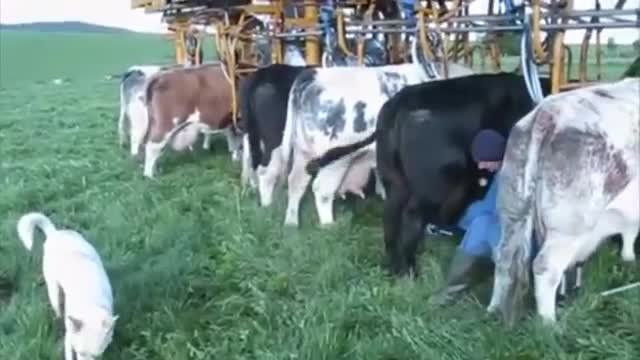 تکنولوژی هوشمند هوشمند کشاورزی خودکار گاو شیرده تراکتور میدان ماشین - ایالات متح