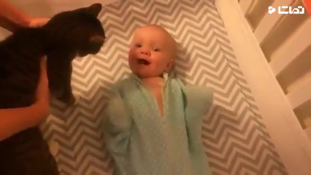 وقتی یه بچه کوچیک برای اولین بار گربه میبینه
