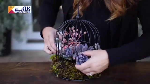 یک ابتکار شیک برای ساختن هدیه ایی ارزنده به شکل یک قفس پر از گل های گوشتی
