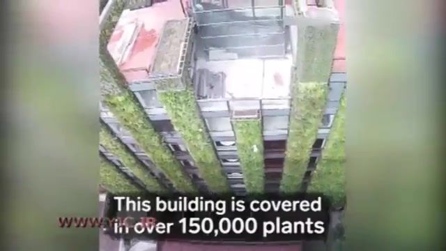 ساختمانی با نمایی از 150 هزار گیاه در کلمبیا 