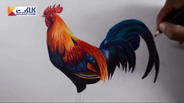 آموزش نقاشی با مداد رنگی: آموزش کشیدن خروس 