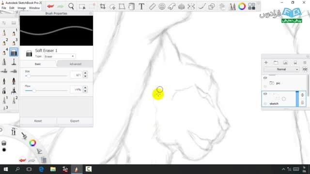 ‫نرم افزار SketchBook Pro برای طراحی آناتومی حیوانات-درس 2: ترسیم حیوانات- بخش 20:گربه (ت)‬‎