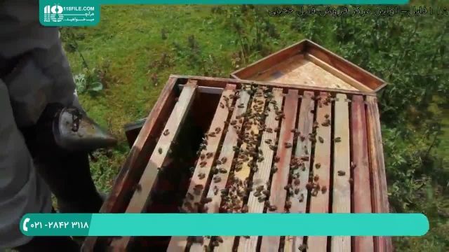 تجهیزات و ابزارهای زنبورداری