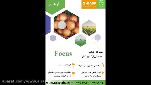 فوکوس | سم علف کش تخصصی مزارع پیاز | Focus