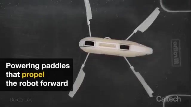 ساخت ربات خودران شناگر  با مواد سازنده که با تغییر دما تغییر شکل می دهند