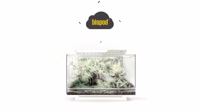ریززیستگاه "بایوپاد" با قابلیت پرورش گیاهان، ایجاد فضای کوچک برای حیوانات خانگی