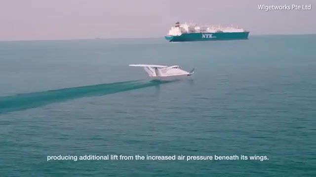 ساخت قایق بالدار در سنگاپور - تصاویری از قایق Airfish8 شرکت سنگاپوری Wigetworks 