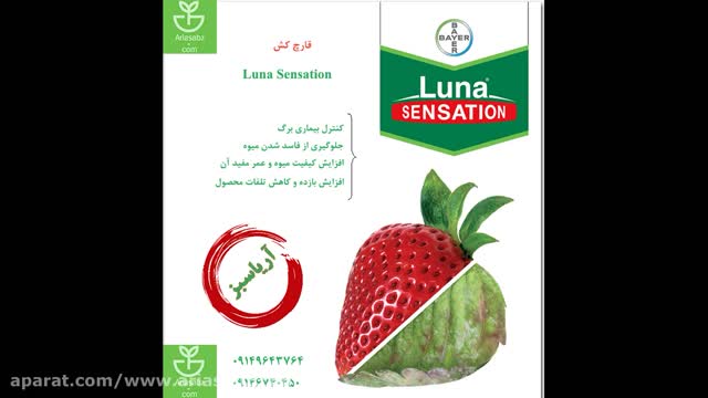 قارچ کش تضمینی برای جلوگیری از پوسیدگی توت فرنگی | Luna Sensation
