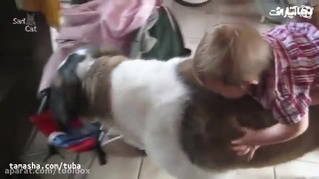 رابطه دوستی جالب کودکان با سگ خانواده