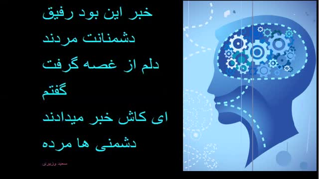 برگزیده اشعارکوتاه/سعید وزیری/1