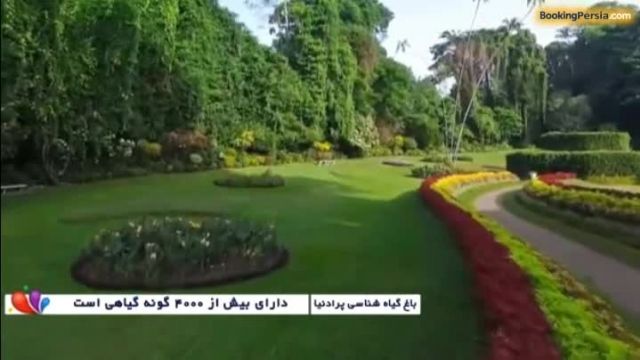  باغ سلطنتی پرادنیا،مجموعه زیبایی های طبیعت در سریلانکا - بوکینگ پرشیا