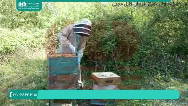 آموزش سر هم کردن کندو زنبور عسل قسمت 2