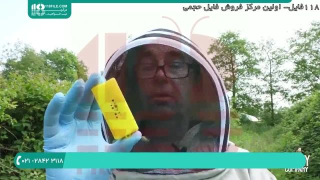 آموزش زنبورداری توسط کادر مجرب بصورت پیشرفته _فارسی