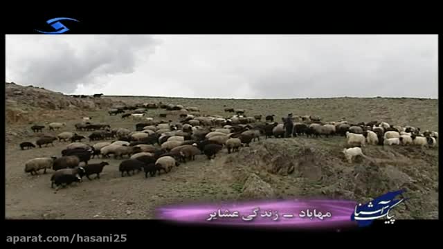 پیک آشنا - مهاباد - زندگی عشایر