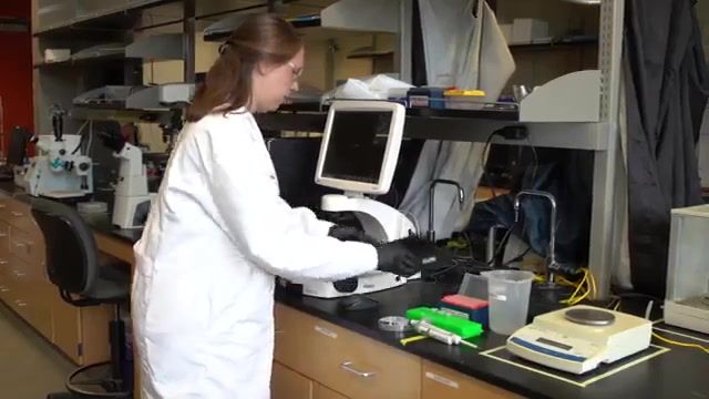 ساخت نانو ربات سونوگرافی با قابلیت نابود کردن باکتری های مضر و سموم بدن