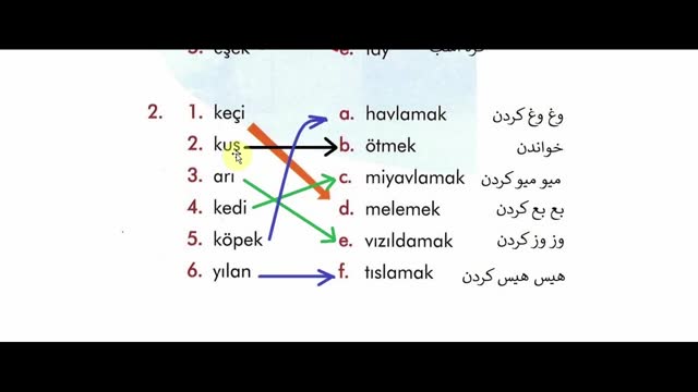 آموزش زبان ترکی استانبولی ازمبتدی تاپیشرفته - بخش 49  - حیوانات وحشرات زبان ترکی