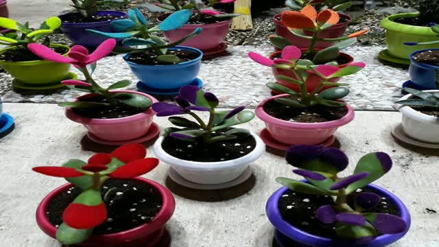 فانتاکروم در اصفهان 09127692842