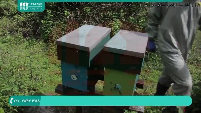 زنبورداری مدرن - تقسیم یک کندو به دو کندو زنبور عسل
