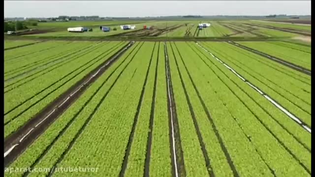 خودکارسازی مزارع به کمک فناوری - تصاویری از یک مزرعه مدرن