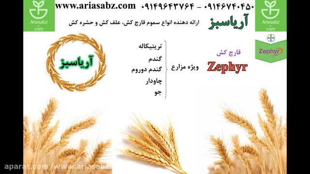 سم قارچ کش مخصوص مزارع چاودار و جو و گندم دوروم | Zephyr