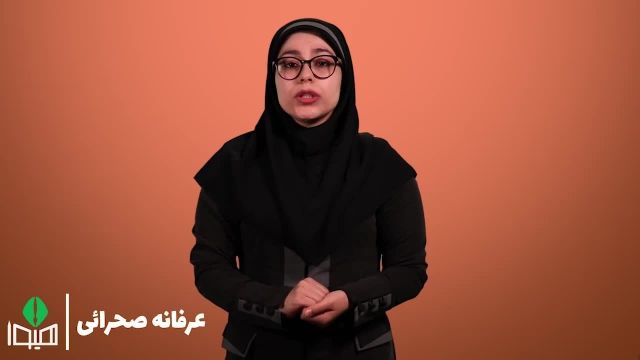 تاریخ و زمان انتشار کارنامه انتخاب رشته دکترا سراسری 98