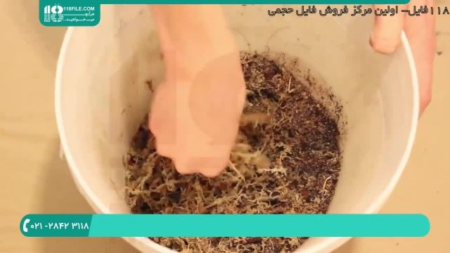 ترکیب خاک مناسب برای تراریم و گلدان