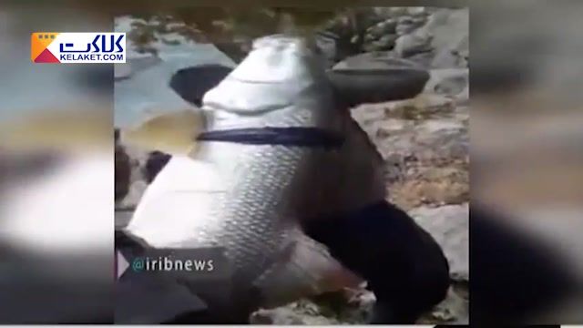 رودخانه سیمره و صید ماهی عظیم الجثه !!! 