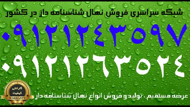 قیمت درخت گردوی پدرو زود بازده  / 09121263524 - 09121243597