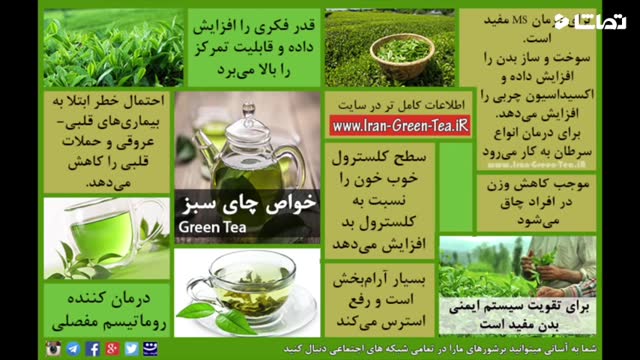 آشنایی با خواص بی نظیر چای سبز