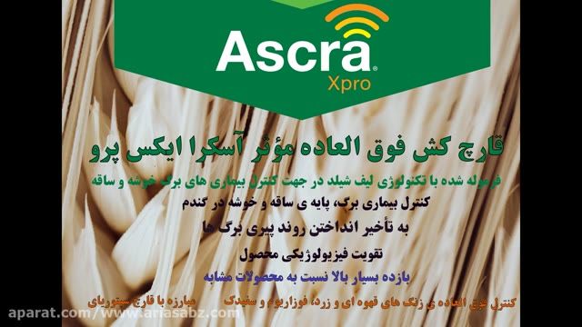 آسکرا ایکس پرو | Ascra xpro سم بی بدیل آفات گندم