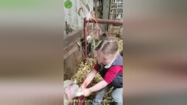 ویدیو شگفت انگیز از دختر کوچولوی بامزه