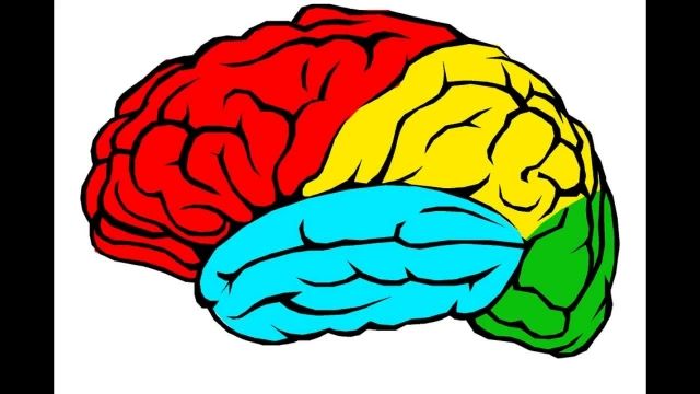 تست روانشناسی |  مقایسه سن عقلی و سن شناسنامه ای