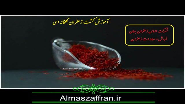فروش زعفران و صادرات زعفران ایرانی