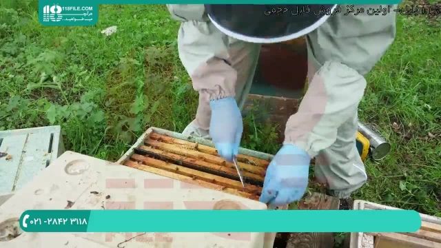 آموزش زنبورداری با فیلم _ دوبله فارسی