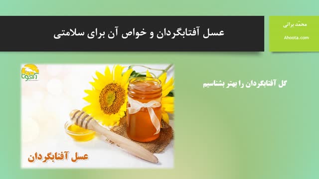 عسل آفتابگردان و خواص آن برای سلامتی